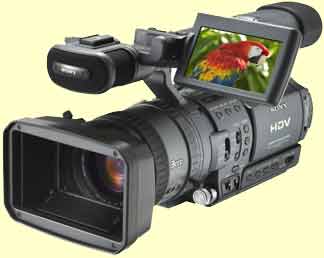 www.ilcorto.it