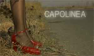 "Capolinea" di Mario Cosentino vincitore de "ilCORTO.it 2004"