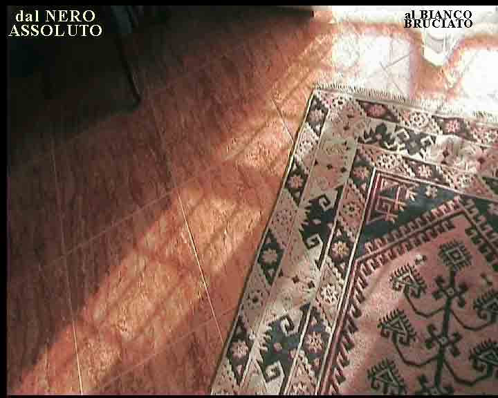 www.ilcorto.it