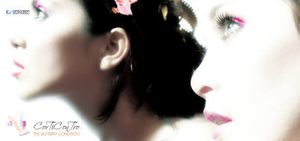 WWW.ILCORTO.IT